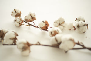 Tsukamoto Organic